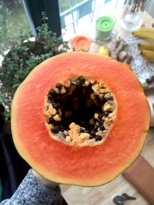 Die gesunde #Wirkung der Papaya zeigt sich im #Darm und bei der Entgiftung. Welchen Teil der Papaya du wirklich nutzen solltest - was keiner weiß. Und du? Den Körper mit #Papaya und Superfoods stärken ist besonders im Winter wichtig. Dass der Darm gesund läuft und die Darmflora durch Enzyme richtig versagt wird. #Kerne