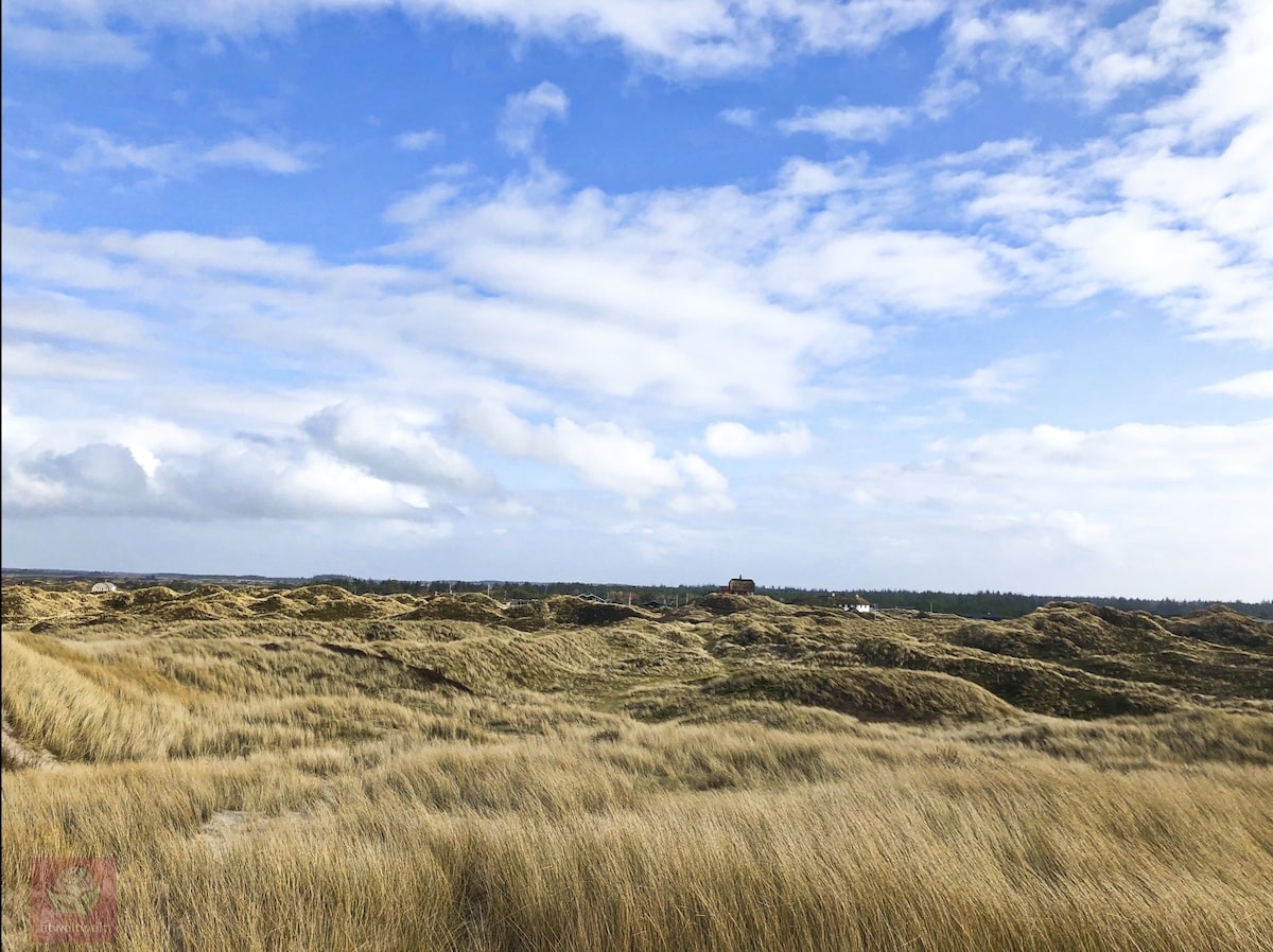 Dünen Strand Blåvand Dänemark Hygge Eindrücke