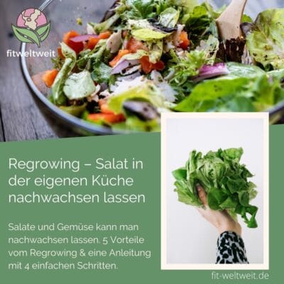 REGROWING - GEMÜSE UND SALAT NACHWACHSEN LASSEN