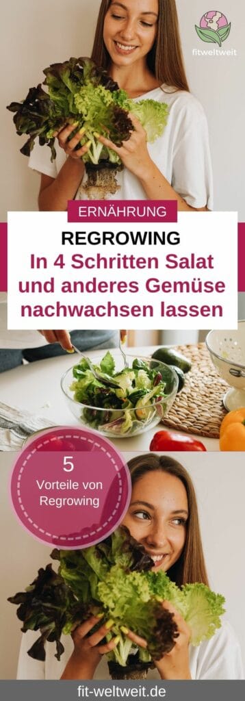 REGROWING: Gemüse Und Salat Nachwachsen Lassen - Anleitung, Tipps