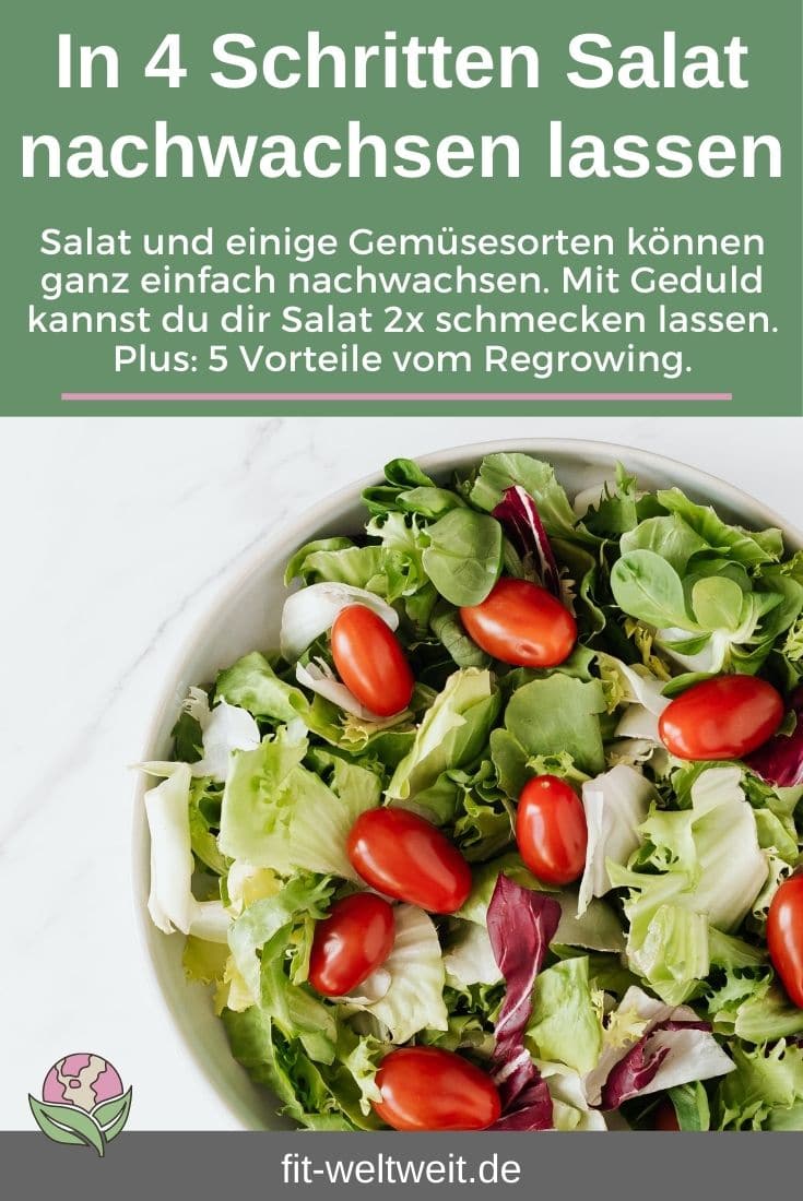 REGROWING - Vorteile Nachteile Salat Gemüse Nachwachsen lassen