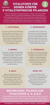 12 Pflanzenstoffe zur Förderung der Gesundheit (von Sunday Natural) – Antioxidantien wie Lichtwurzel Ashwaganda Mango Astragalus Maca