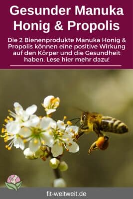 Manuka Honig Propolis Anwendung Wirkung Gesundheit Körper