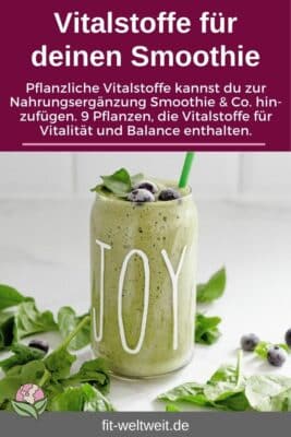 SMOOTHIE Vitalstoffe Pflanzenstoffe Gesundheitsförderung (von Sunday Natural) Antioxidantie