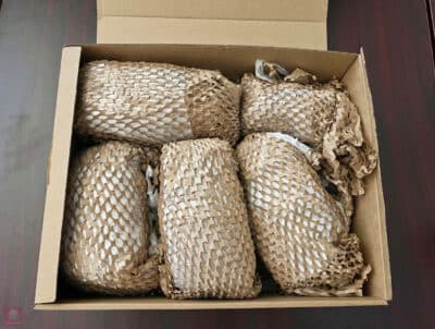 Sunday Natural Erfahrungen Versand, Verpackung Ananas, Retour