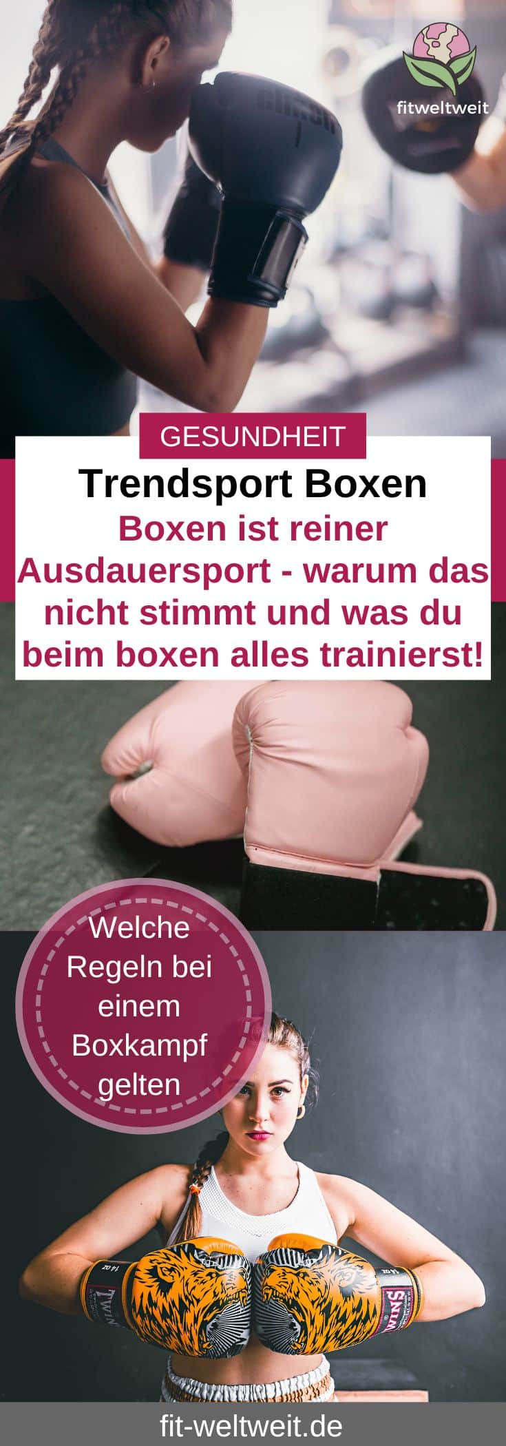 Trendsport Boxen. Boxen ist reiner Ausdauersport - warum das nicht stimmt und was du beim boxen alles trainierst und welche Regeln dabei gelten