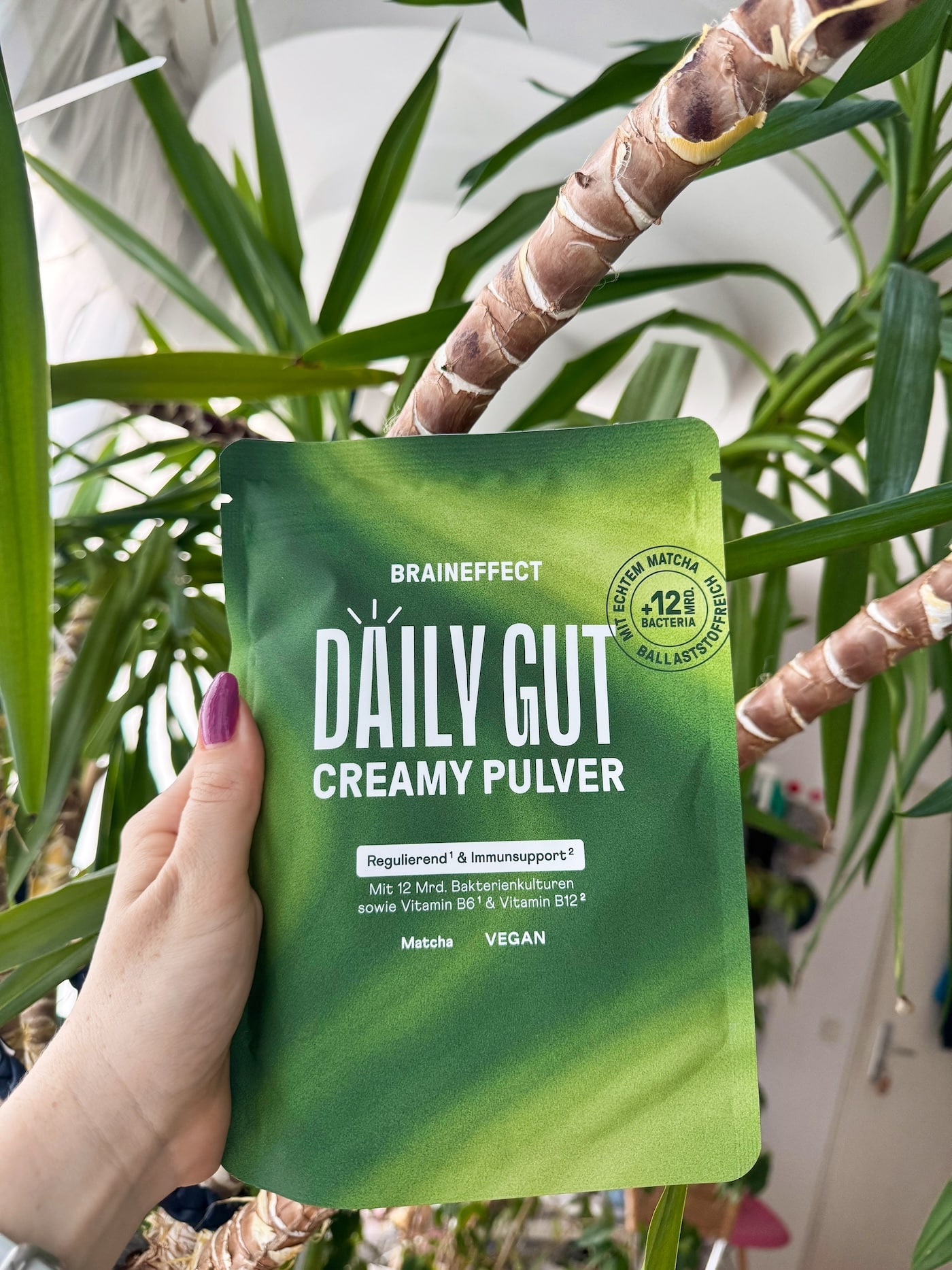 Braineffect Erfahrungen Daily Gut Creamy Matcha Test Review