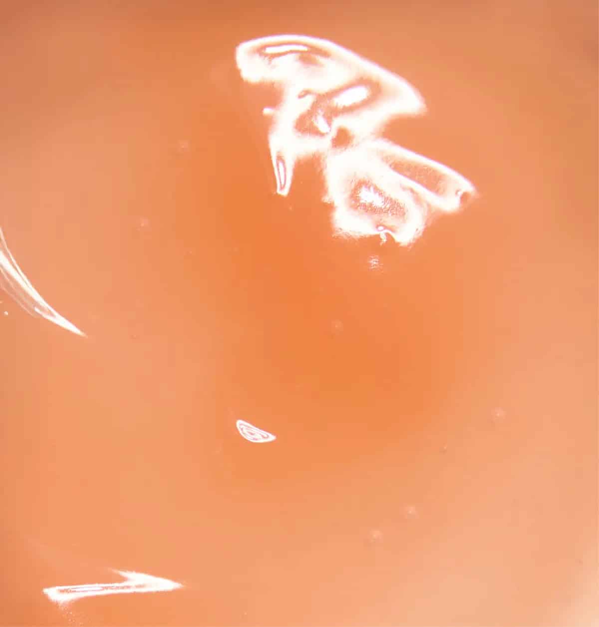 Makro-Aufnahme der viskosen, honigartigen Textur des Rosental Organics Lip Plumpers.