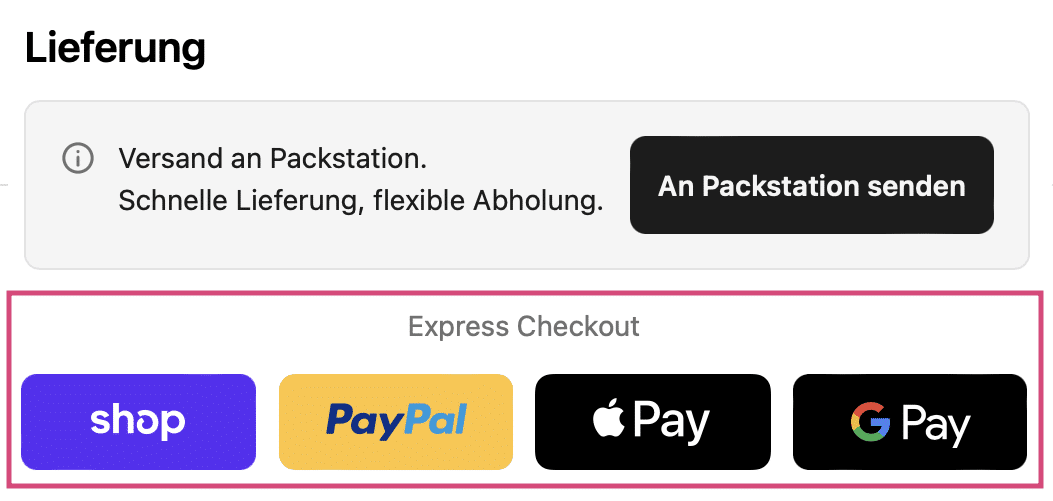 Everydays Bezahlung Zahlungsmethoden Shop Pay PayPal Apple Pay Google Pay Bestellung Aminosäuren sicher bezahlen Erfahrungen Test 2026